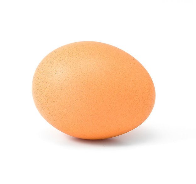 egg representing company innovative
