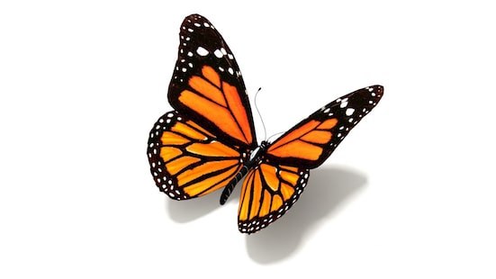 Transformation or reinvention