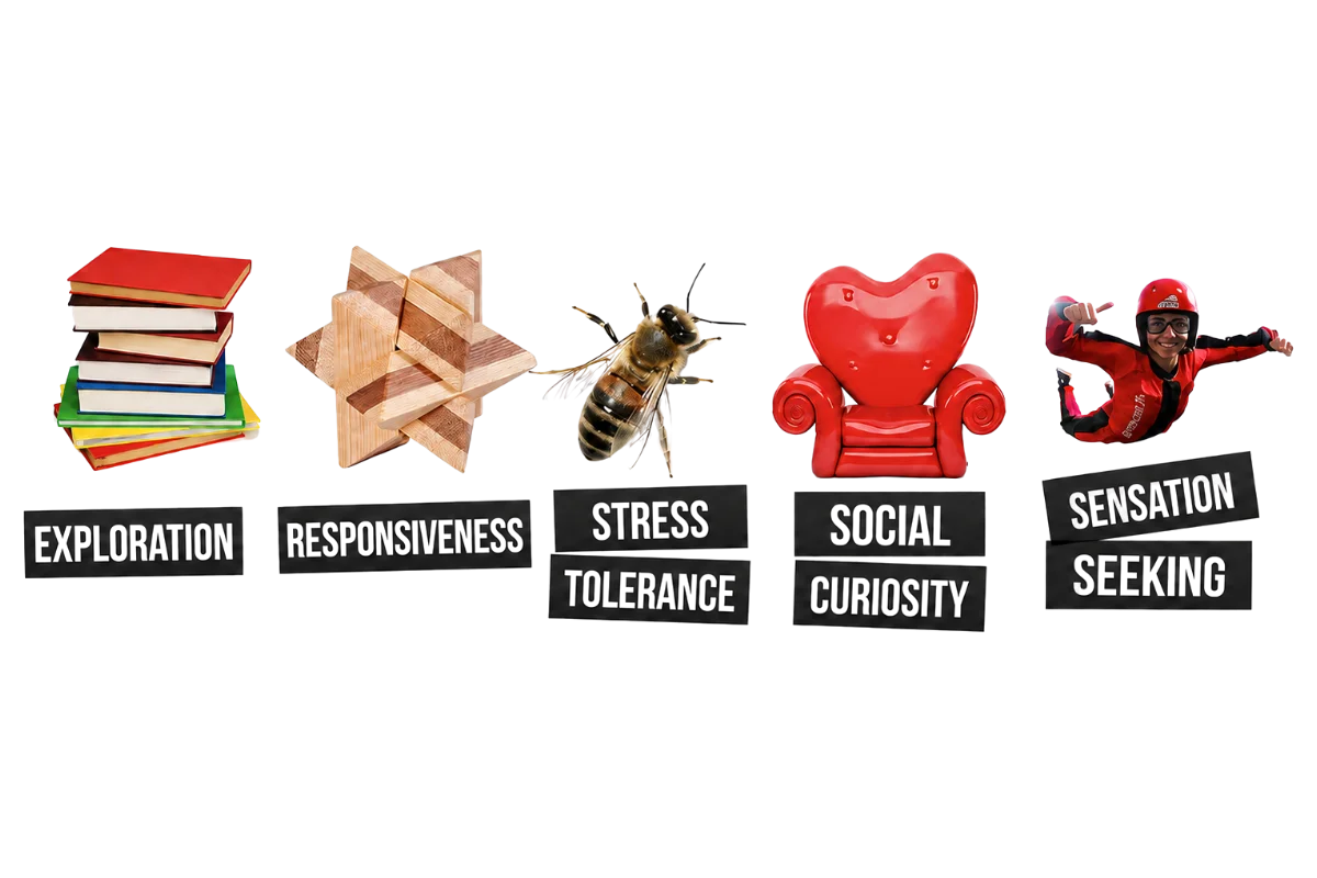 The 5 dimensions of curiosity