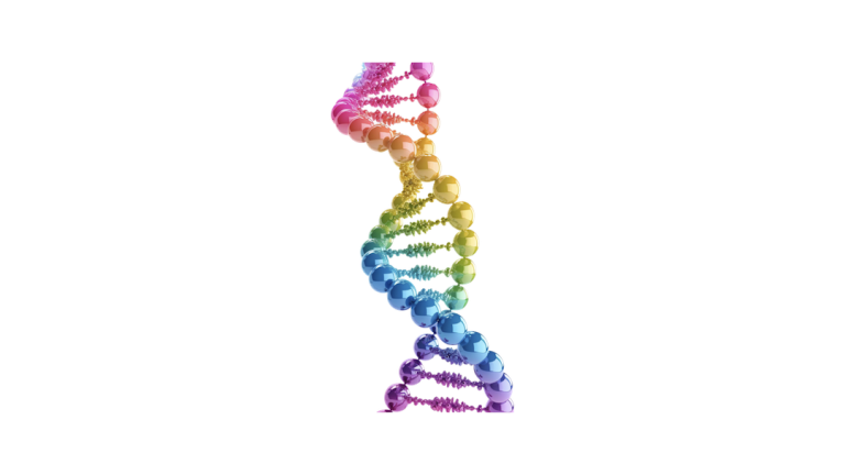 ADN de l'innovation et adn de l'entreprise et genome de l'innovation