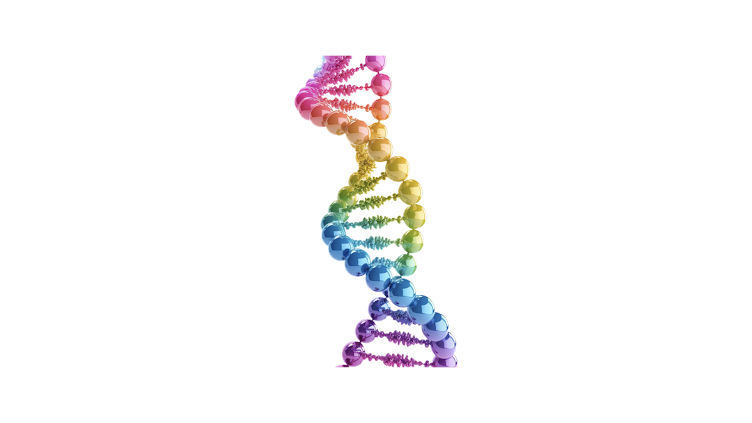 ADN de l'innovation et adn de l'entreprise et genome de l'innovation