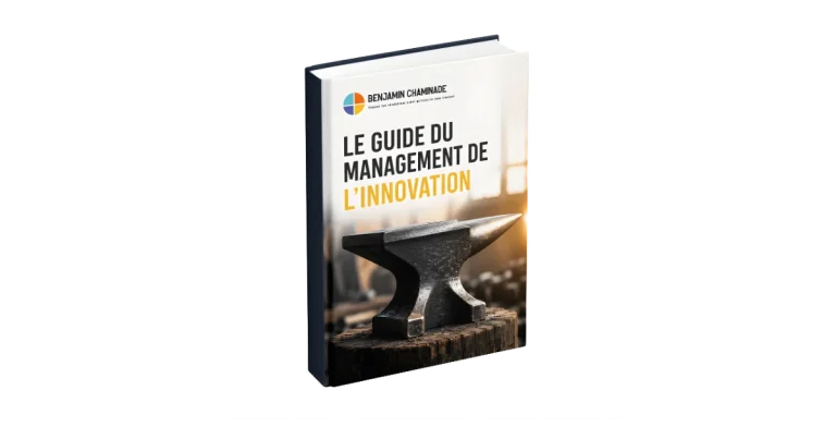 le guide du management de l'innovation offert lors de la conférence "culture d l'innovation" de benjamin chaminade